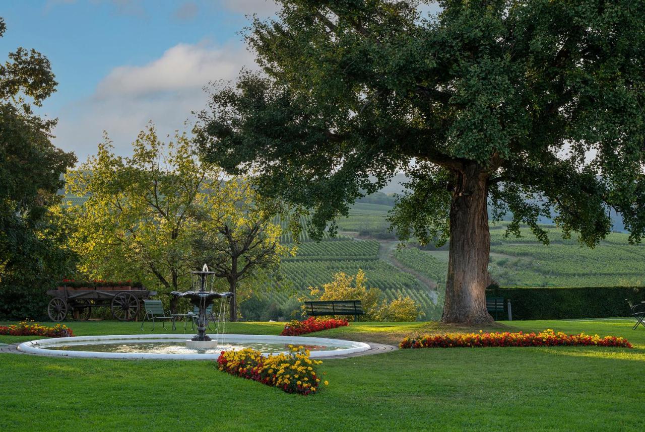Chateau D'Isenbourg & Spa Rouffach Kültér fotó