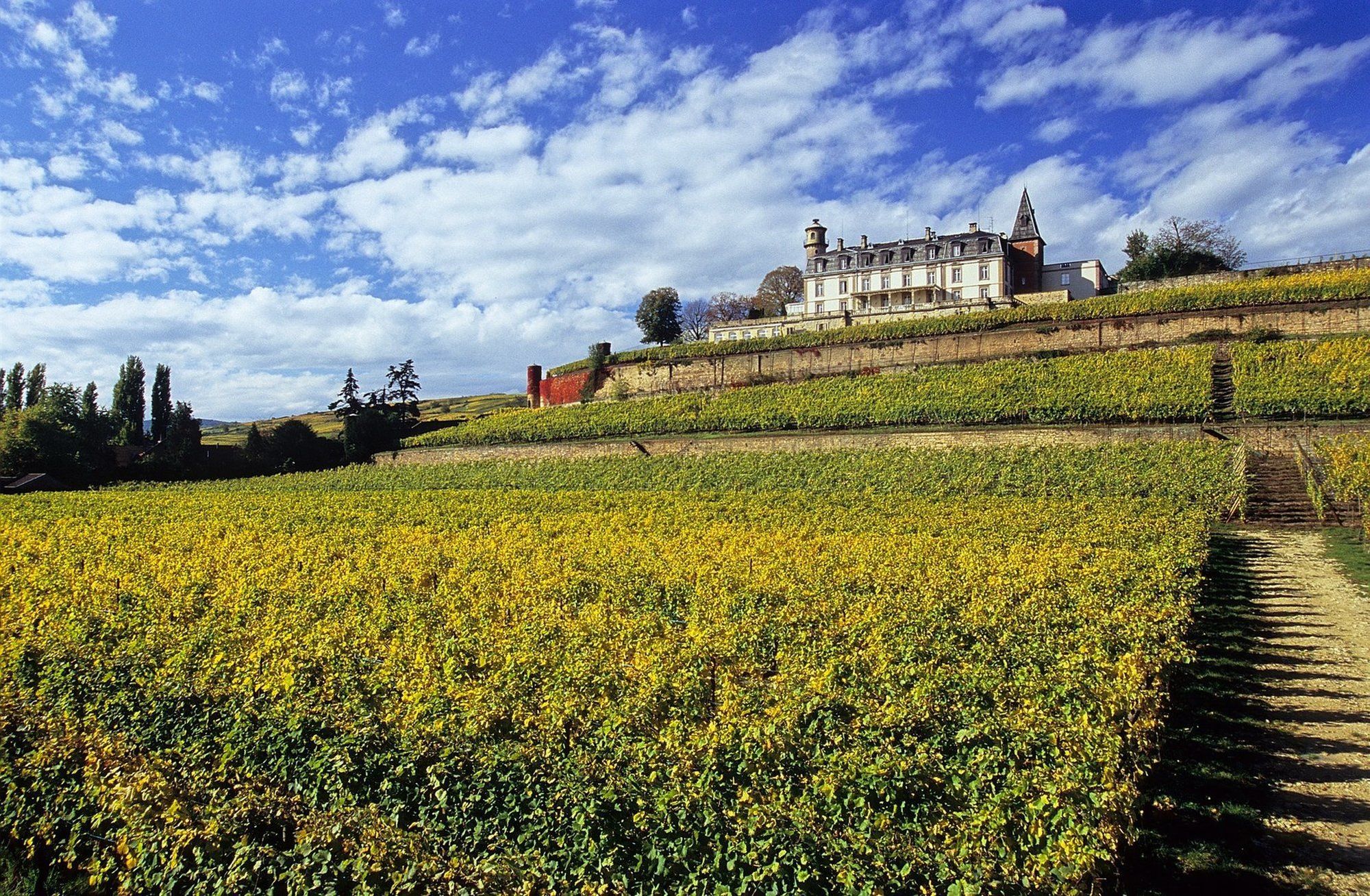 Chateau D'Isenbourg & Spa Rouffach Kültér fotó