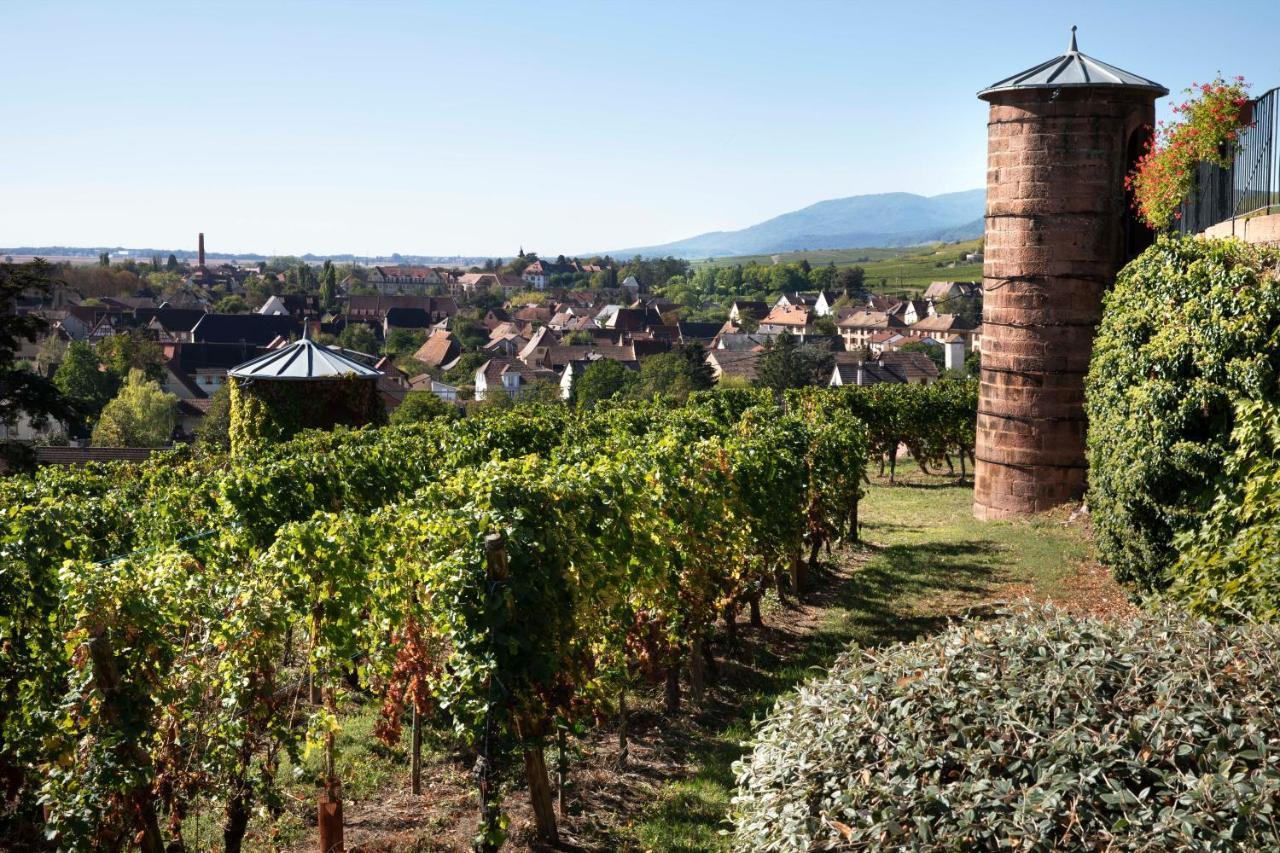 Chateau D'Isenbourg & Spa Rouffach Kültér fotó