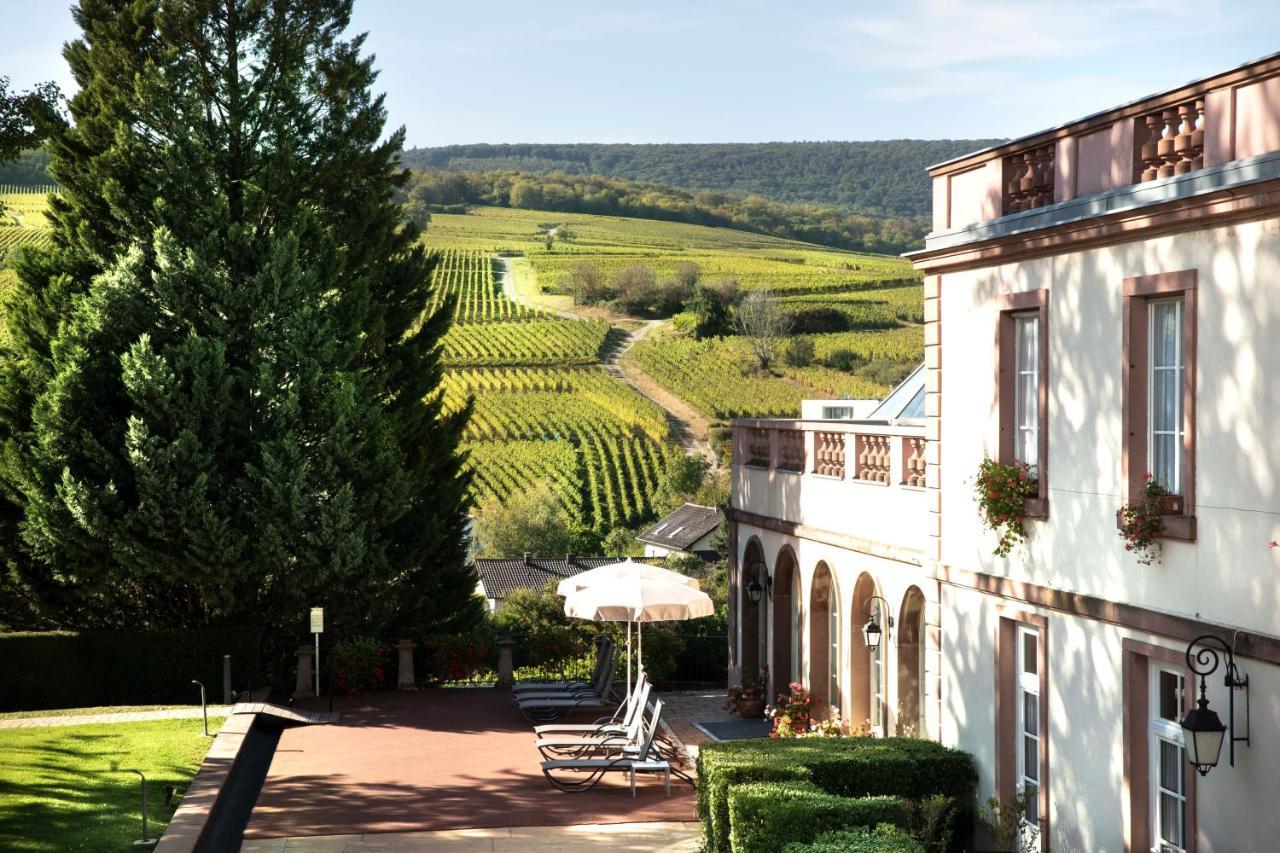 Chateau D'Isenbourg & Spa Rouffach Kültér fotó